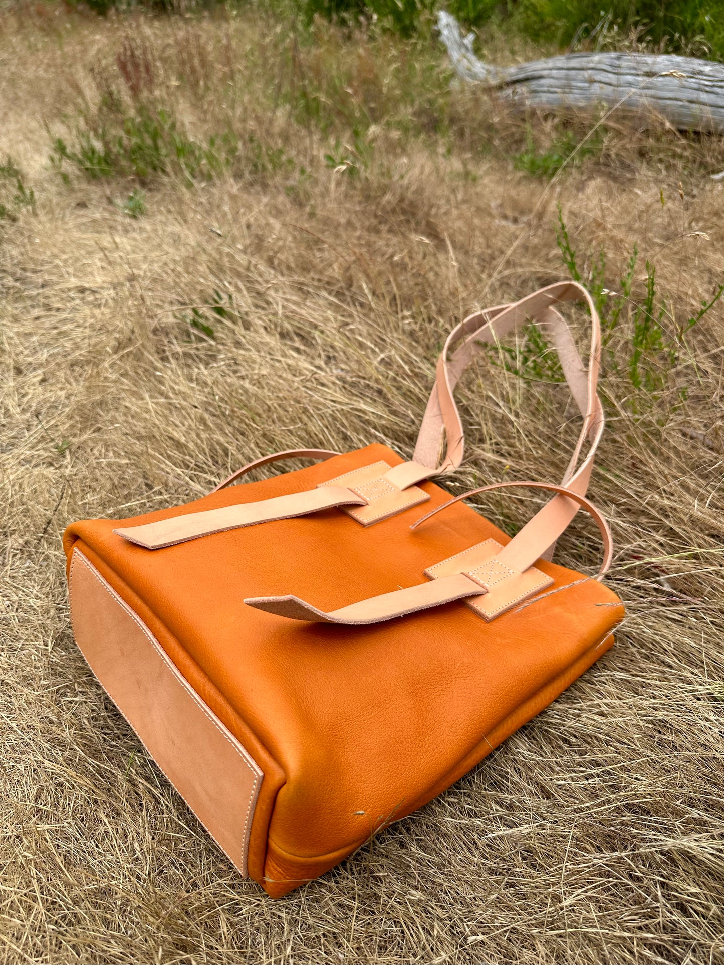 Everyday Tote Pumpkin